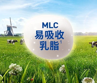 1_MLC.jpg