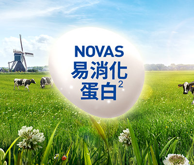 2_NOVAS.jpg