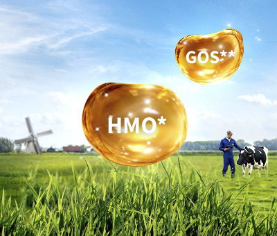 ProductCard_MX_HMO_GOS.jpg