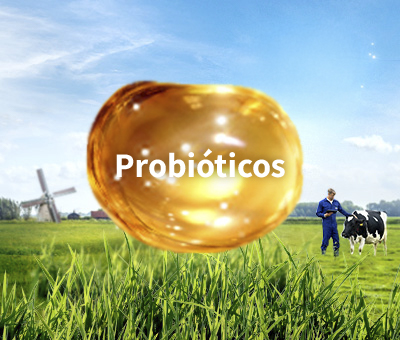 ProductCard_MX_Probioticos.jpg