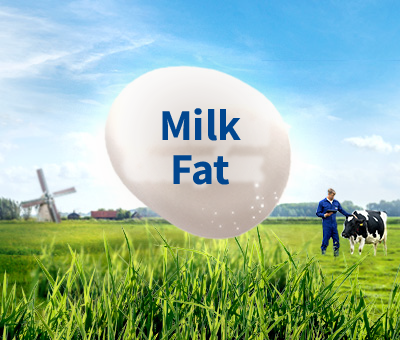 Milk Fat