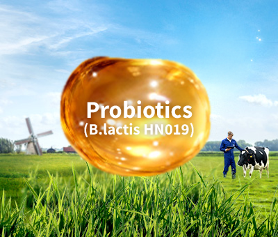 Probiotics (B.lactis HN019)